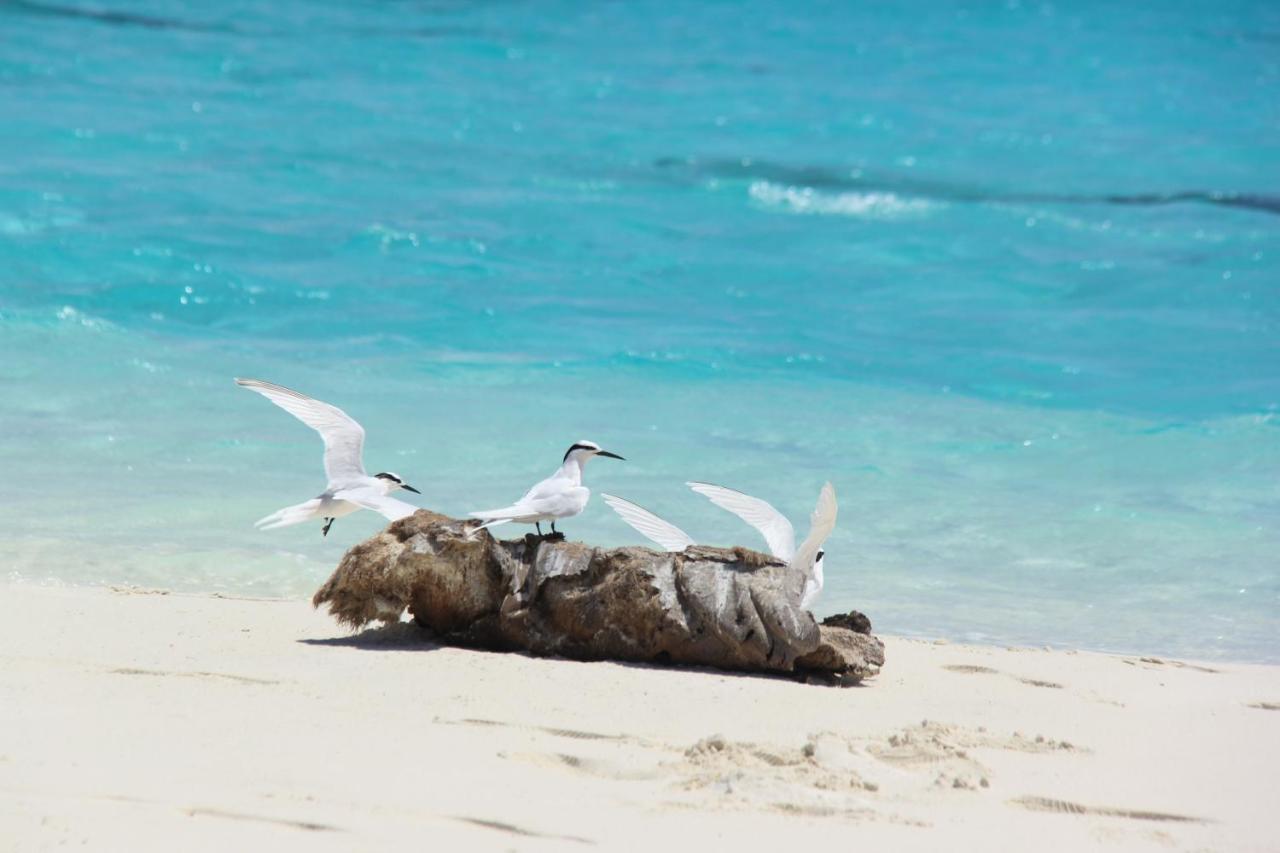 Brickwood Rasdhoo- Beach Front Esterno foto