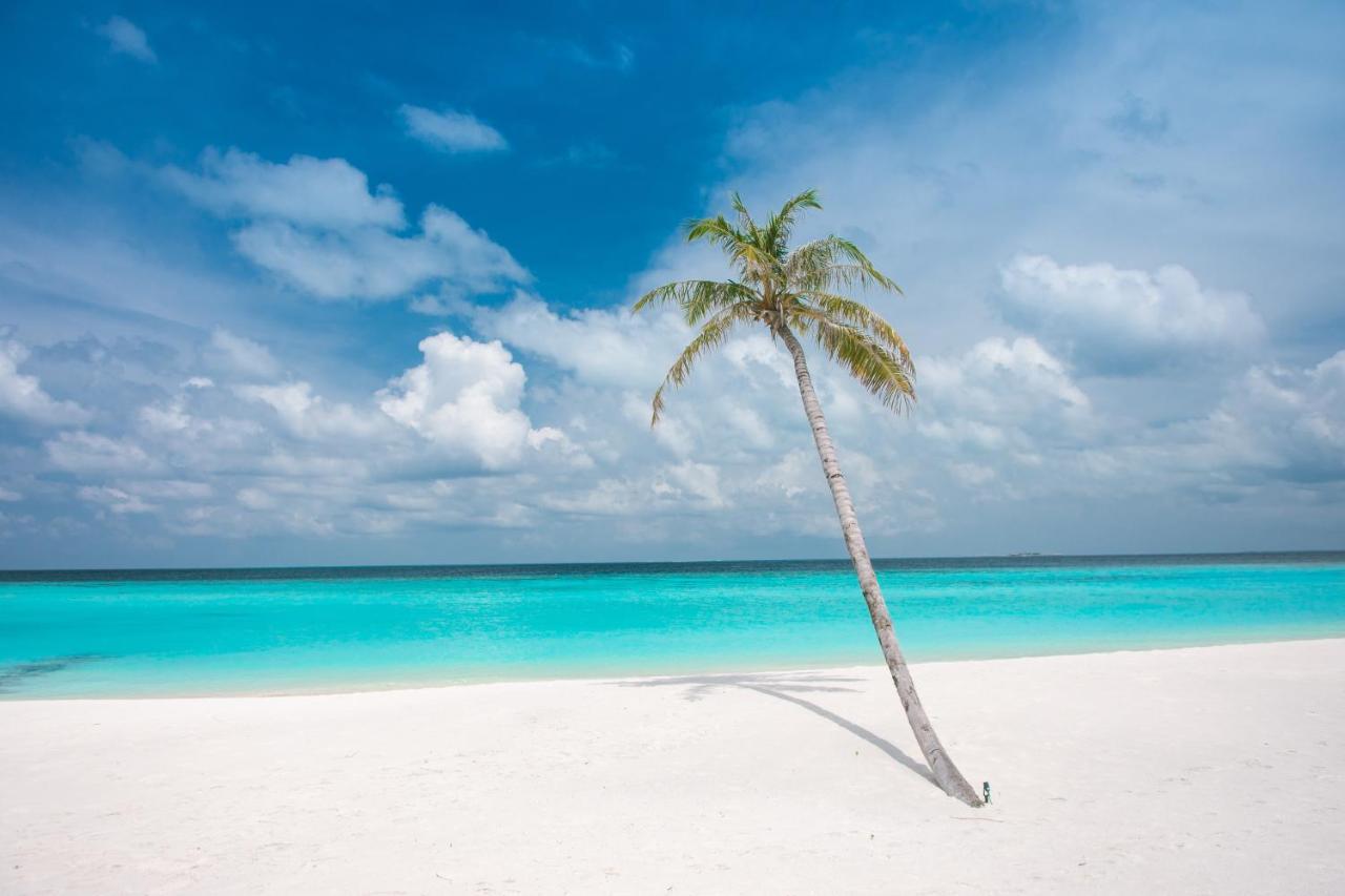 Brickwood Rasdhoo- Beach Front Esterno foto